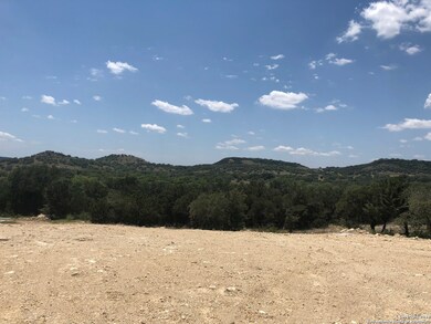 22903 Linwood Ridge, San Antonio, TX 78255 - photo 5