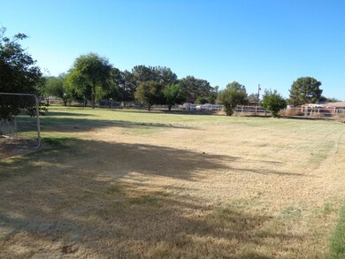 Backyard 1