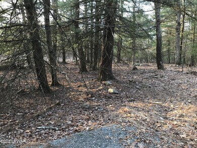 21 Coyote Ridge, Hawley, PA 18428 - photo 5