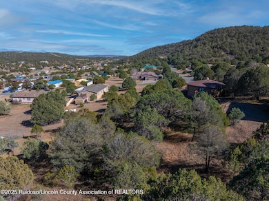 DJI_20251110131945_0485_D-2