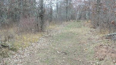 Lot 4 300th St, Sterling Township, WI 54024 - photo 7
