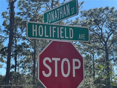 646 Jonathan St, Lake Placid, FL 33852 - photo 3