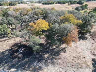 205 Serenity Dr, Liberty Hill, TX 78642 - photo 5