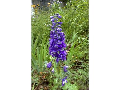 17 Fern Cir, Scarborough, ME 04074 - photo 2