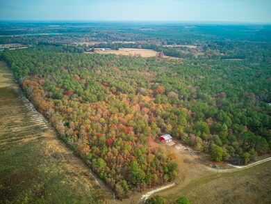 0 Windy Ridge Rd unit 220814, Trenton, SC 29847 - photo 6