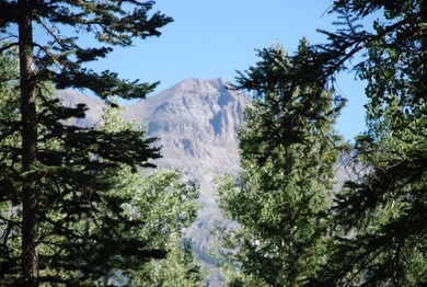 more views throught trees