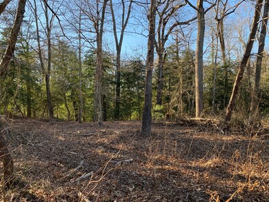 00 White Point Rd, Kinsale, VA 22488 - photo 4