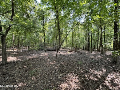 0001 Old Dover Rd, Yazoo City, MS 39194 - photo 5