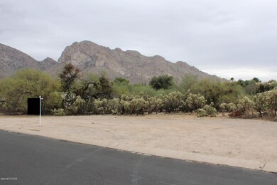 115 W Greenock Dr unit 204, Oro Valley, AZ 85737 - photo 4