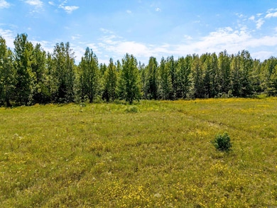 000 Gillham Rd, Beebe, AR 72012 - photo 5