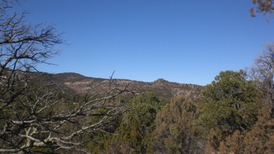 20150209_8