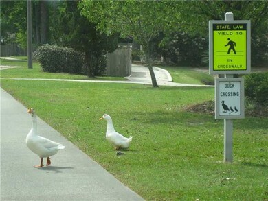 Other. Caution! Greenleaves has a Duck Crossing