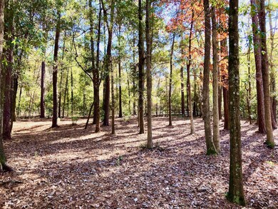 You will love this Park Like setting, and privacy.