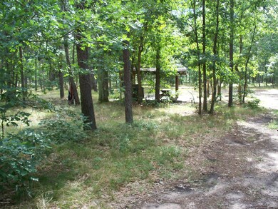 3429 W 16th St, Baldwin, MI 49304 - photo 7