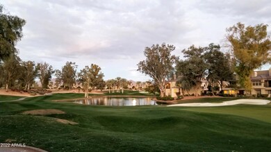 View From Patio