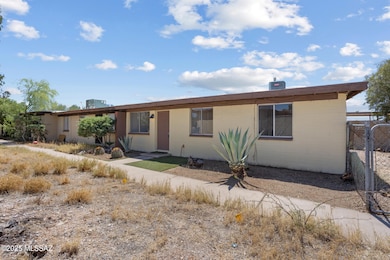 3_3994 s evergreen-21