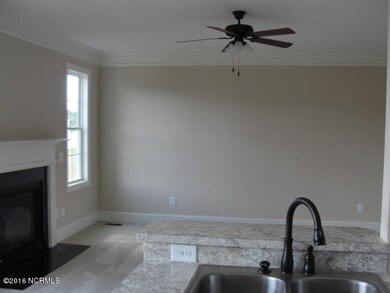 3180 Chesswood Ln, Winterville, NC 28590 - photo 5