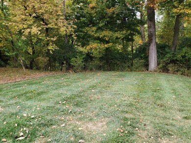 Backyard 1