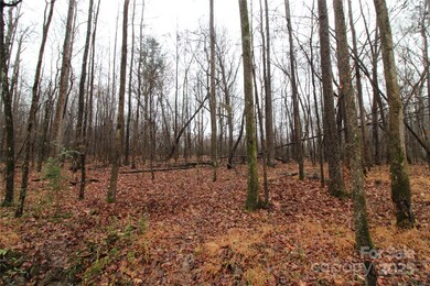 4+/-AC LOT 2 Eaker Rd, Kings Mountain, NC 28086 - photo 4
