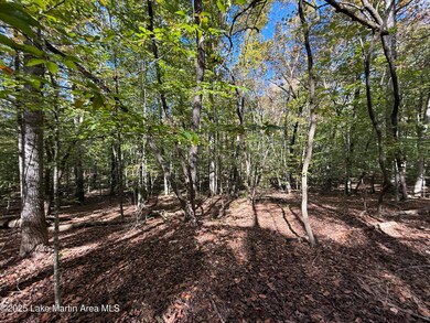 Lot 8 S Fern Ridge, Dadeville, AL 36853 - photo 4