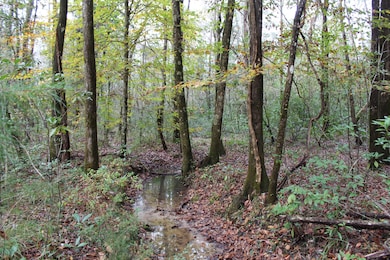 100AC County Highway 183, Ponce de Leon, FL 32455 - photo 6