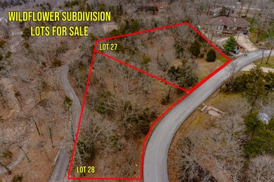 000 Wildflower Lots 27 & Lot 28, Kimberling City, MO 65686 - photo 2