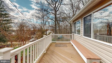 121 W Elm Ave, Baltimore, MD 21206 - photo 5