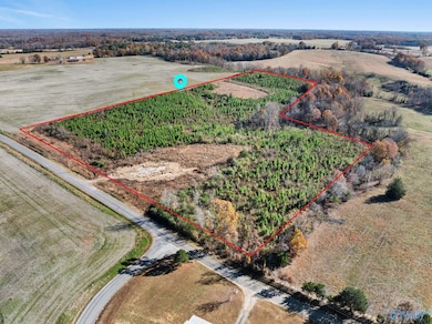 69 Danley Rd, Saint Joseph, TN 38481 - photo 2