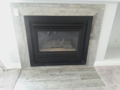 Gas fireplace
