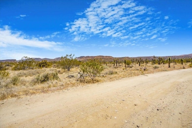 0, Pearblossom, CA 93553 - photo 5