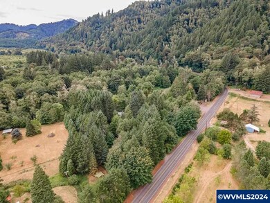 17126 Alsea Hwy, Alsea, OR 97324 - photo 7