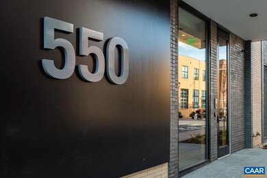 550 Water St E unit 401, Charlottesville, VA 22902 - photo 3