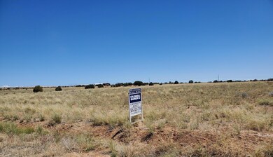 XXX Road 3950, Farmington, NM 87401 - photo 2