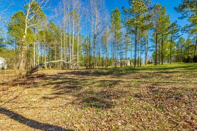 Jasper Highland Lots HD-0577