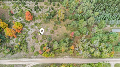 V/L Trout Creek Rd, Inverness Township, MI 49721 - photo 4