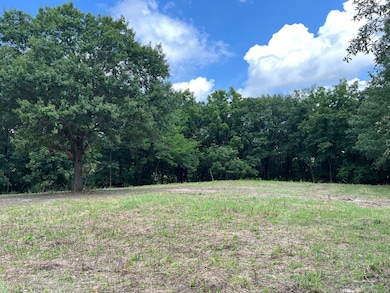 15 550n Ave, Timewell, IL 62375 - photo 3