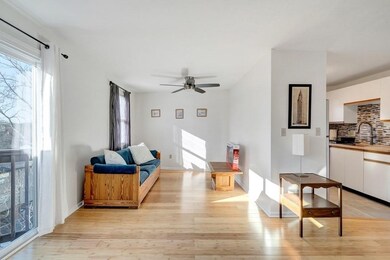 306 Tappan St unit E, Brookline, MA 02445 - photo 6