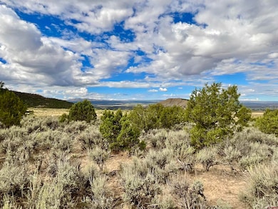 TBD Lot 22 7250 Rd, Montrose, CO 81403 - photo 6