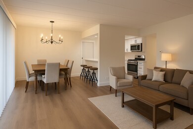 201 E Janata Blvd unit 1A, Lombard, IL 60148 - photo 4