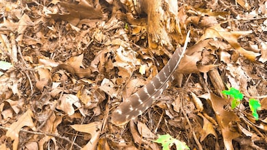 16932 State Route 335, Beaver, OH 45613 - photo 7