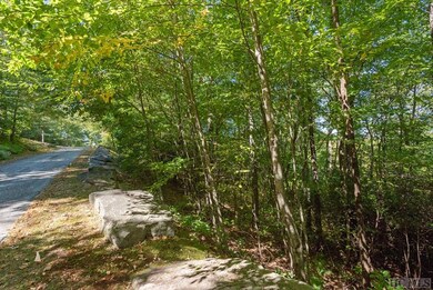 Lot 31 E Ridge Rd, Cashiers, NC 28717 - photo 5