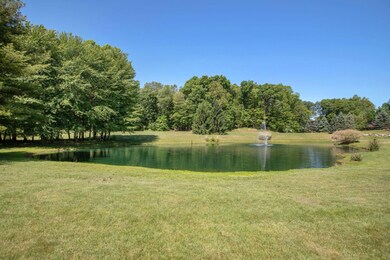 Pond View