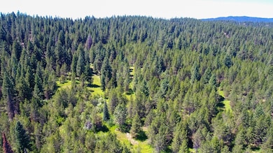 0 Tbd 1-3 Horsethief Rd, Cascade, ID 83611 - photo 7