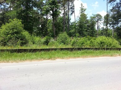 000 Honea Egypt Rd, Magnolia, TX 77354 - photo 5