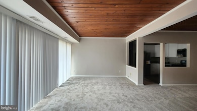 53 Skyhill Rd unit 301, Alexandria, VA 22314 - photo 3