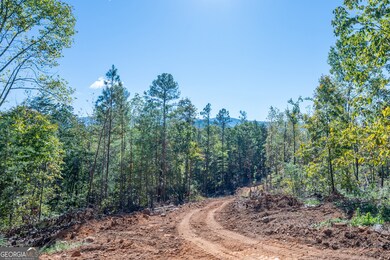 3887 Hwy 140 NE, Rydal, GA 30171 - photo 7