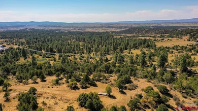 540 D Bar K Dr, Durango, CO 81301 - photo 3