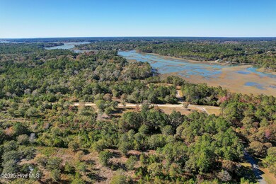 Shallotte River Views from Community