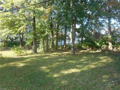 Large & park-like backyard.