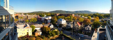 218 W Water St unit 704, Charlottesville, VA 22902 - photo 2